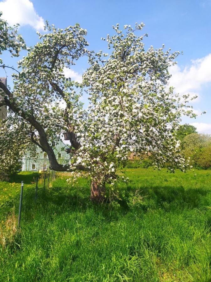 Polny Zakatek - Pokoje Goscinne Rybnica Esterno foto